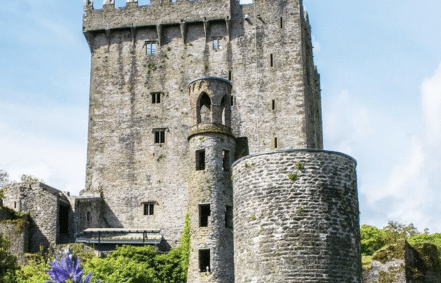 Castles in Ireland You Can Visit on a Day Tour by Minibus