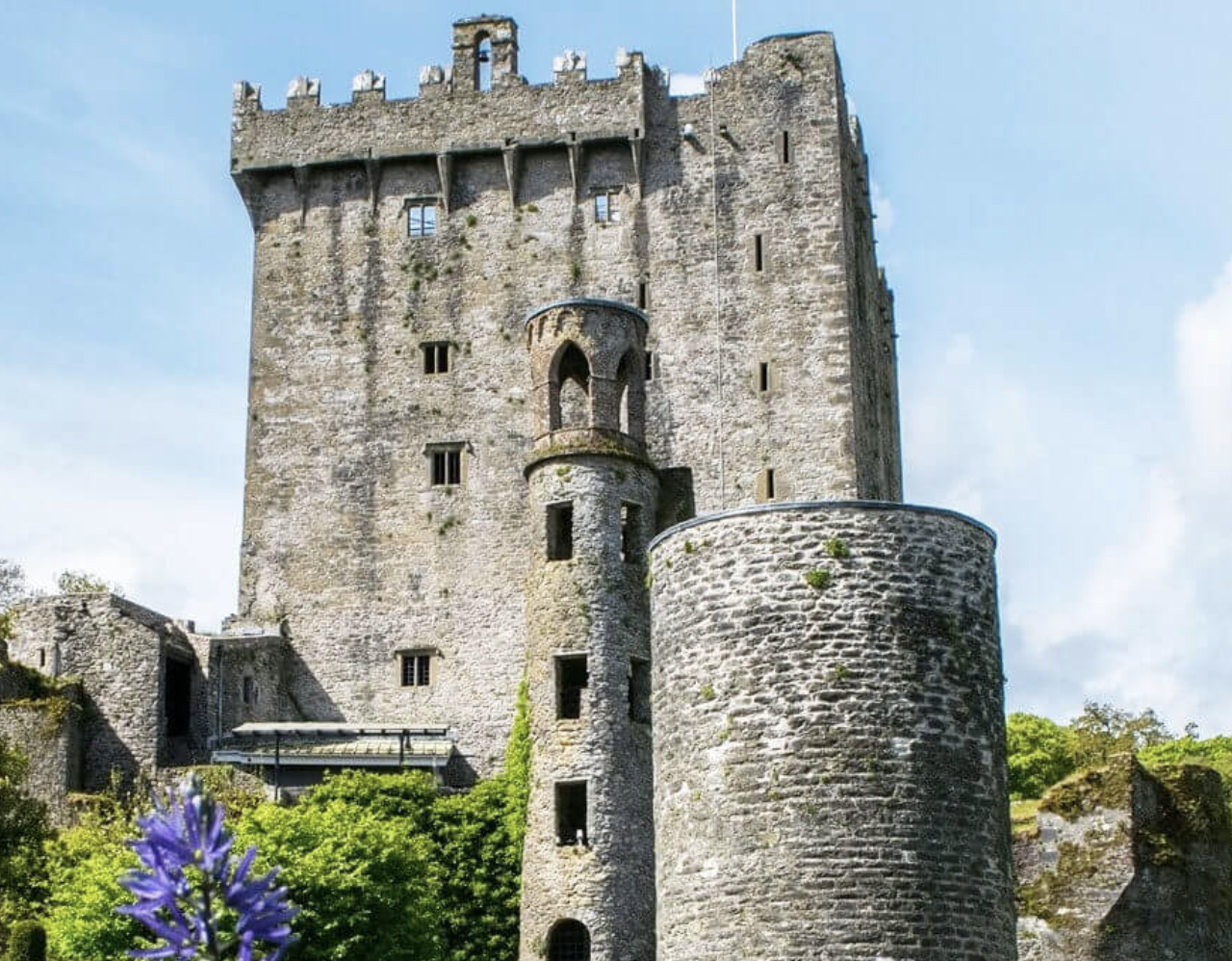 Going Places Minibus Hire Ltd blarney-castle Blog  